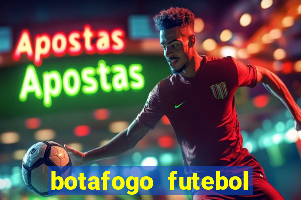 botafogo futebol play hd